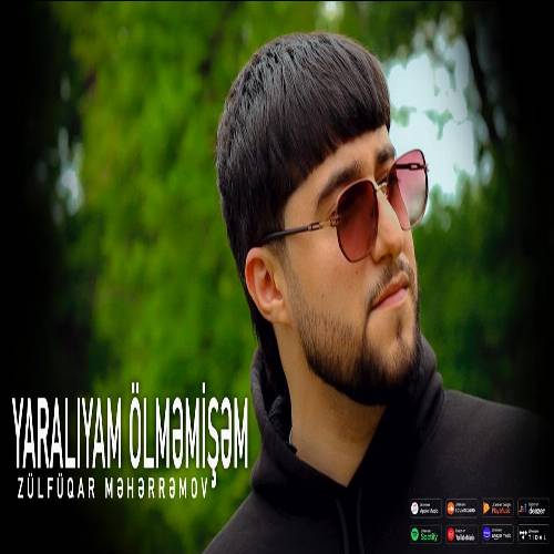 دانلود آهنگ یارالیام اولموشم از ذوالفقار محرموا