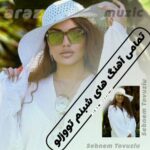 تمام آهنگ های شبنم تووزلو (جدید، قدیمی، شاد و غمگین)