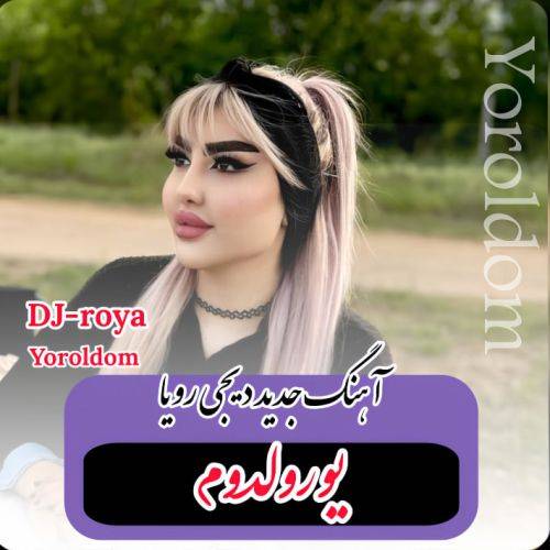 دانلود آهنگ یورولدوم بو آجی خاطیرلردن از دیجی رویا