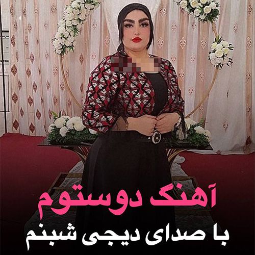 دانلود آهنگ دوستوم (گوزل دوستوم عزیزیم سن سن) از دیجی شبنم