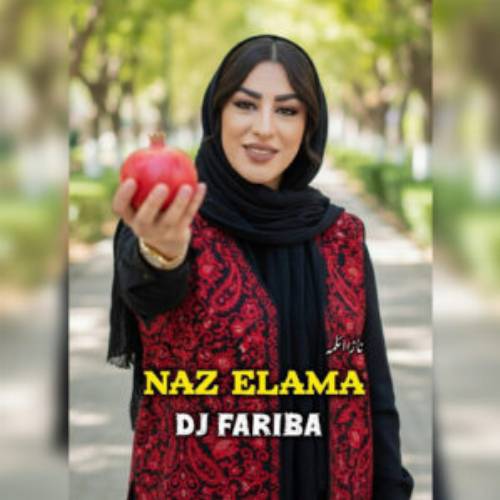 دانلود آهنگ ناز ائلمه (گل یاریم ناز المه گوزلرینی سوزمه بله) از دیجی فریبا