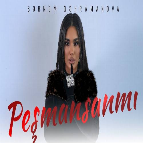 دانلود آهنگ ددیین سوزلره پشمانسانمی از شبنم قهرمانوا