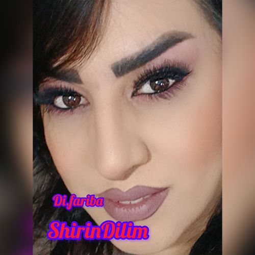 دانلود آهنگ شیرین دیلیم (منیم یاریمسان قادان آلیم ) از دیجی فریبا